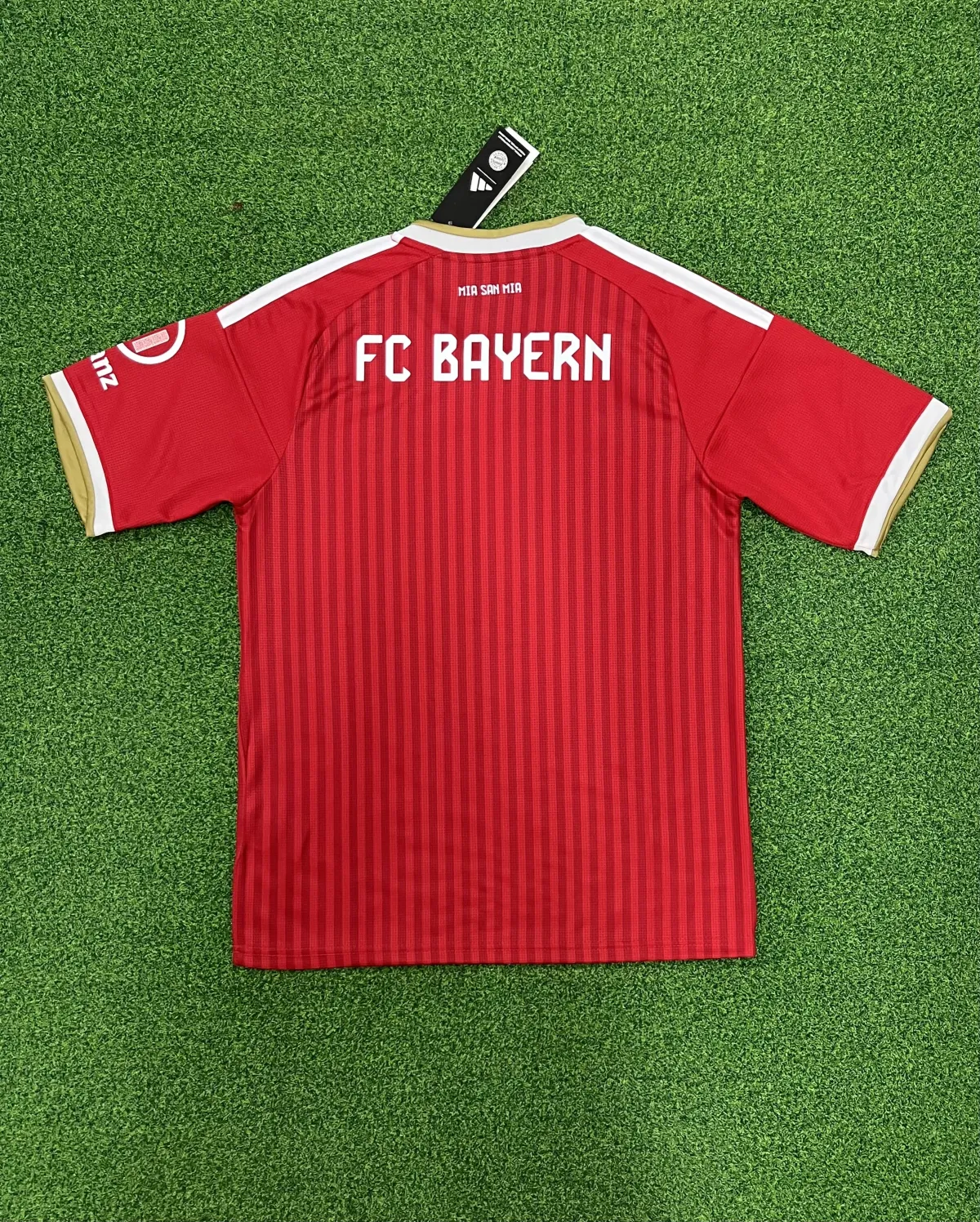 Bayern Monaco