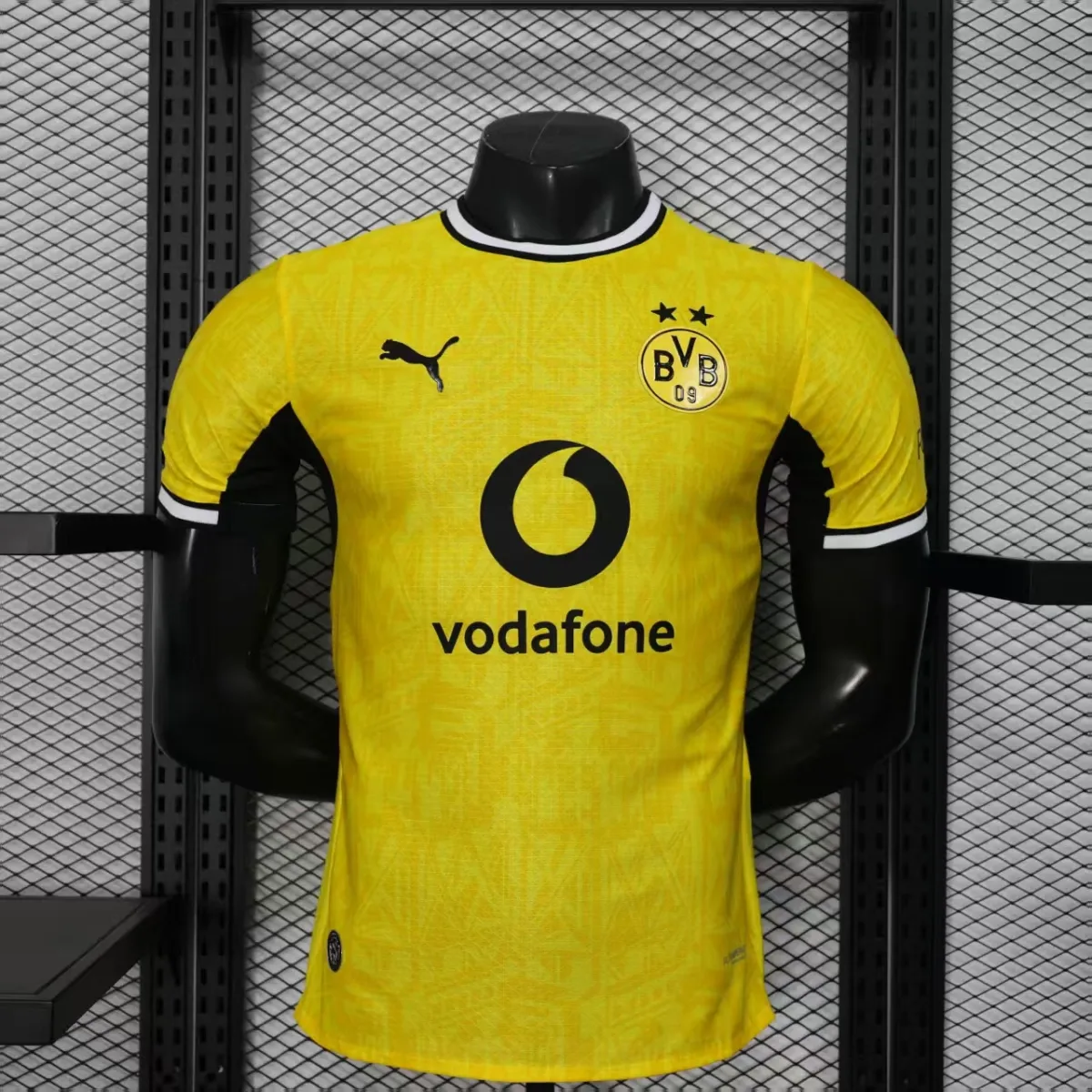 Borussia Dortmund