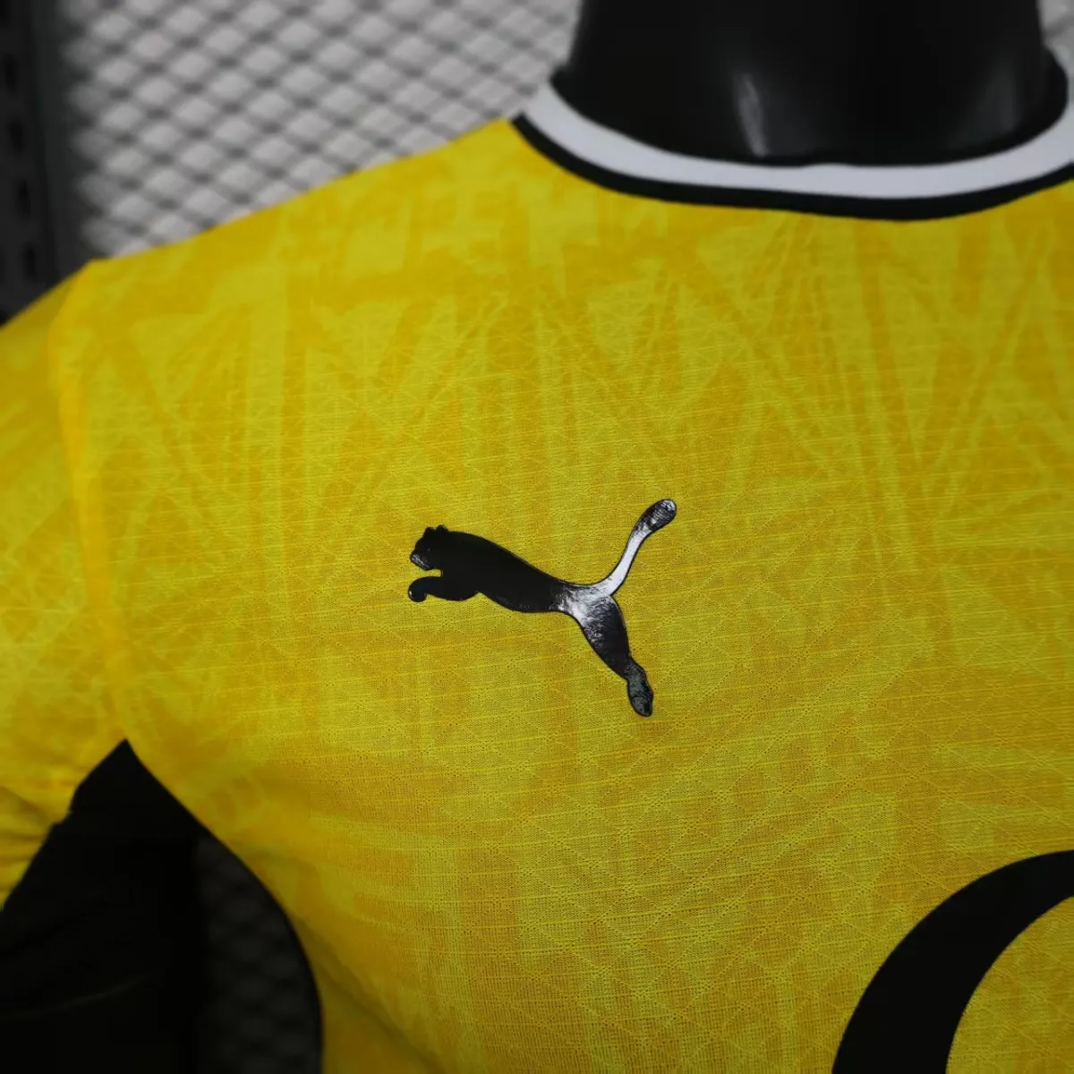 Borussia Dortmund